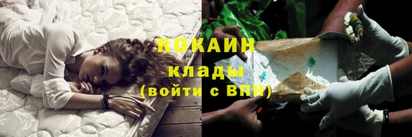 шишки Горнозаводск