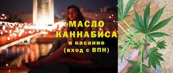 шишки Горнозаводск