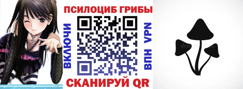 hydra маркетплейс  Жиздра  Галлюциногенные грибы мухоморы  где купить наркотик 